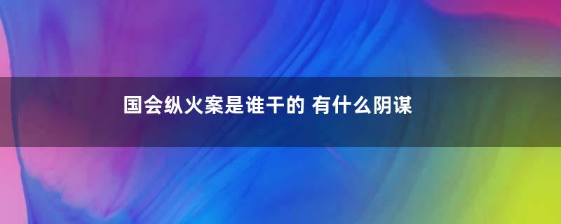 国会纵火案是谁干的 有什么阴谋